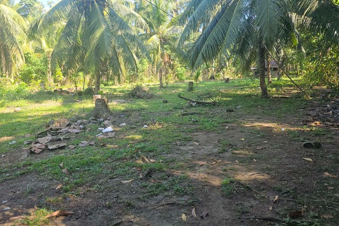 Land for Sale in Inawayan, Santa Cruz, Davao del Sur – photo 7