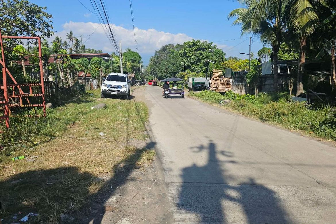 Land for Sale in Inawayan, Santa Cruz, Davao del Sur – photo 8