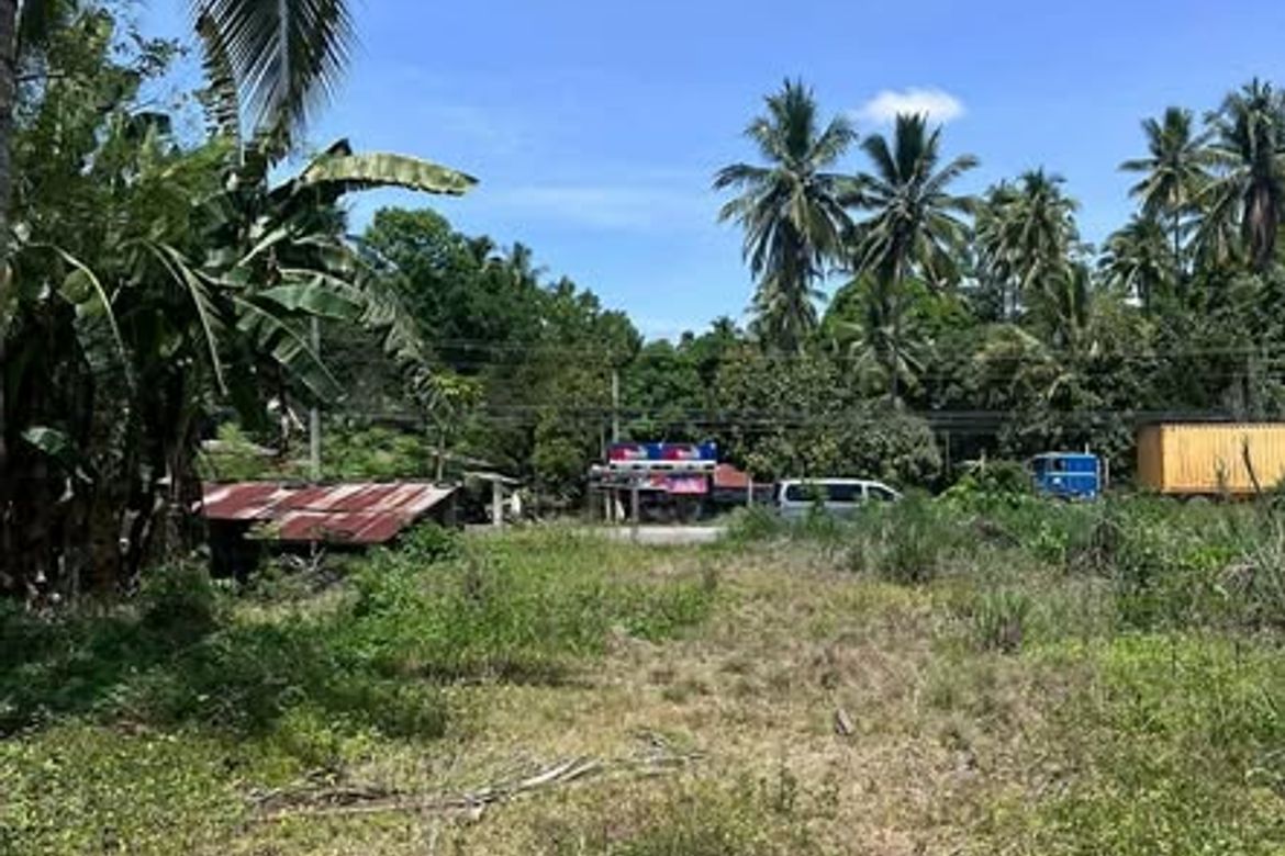 Land for Sale in Inayangan, Davao City, Davao del Sur