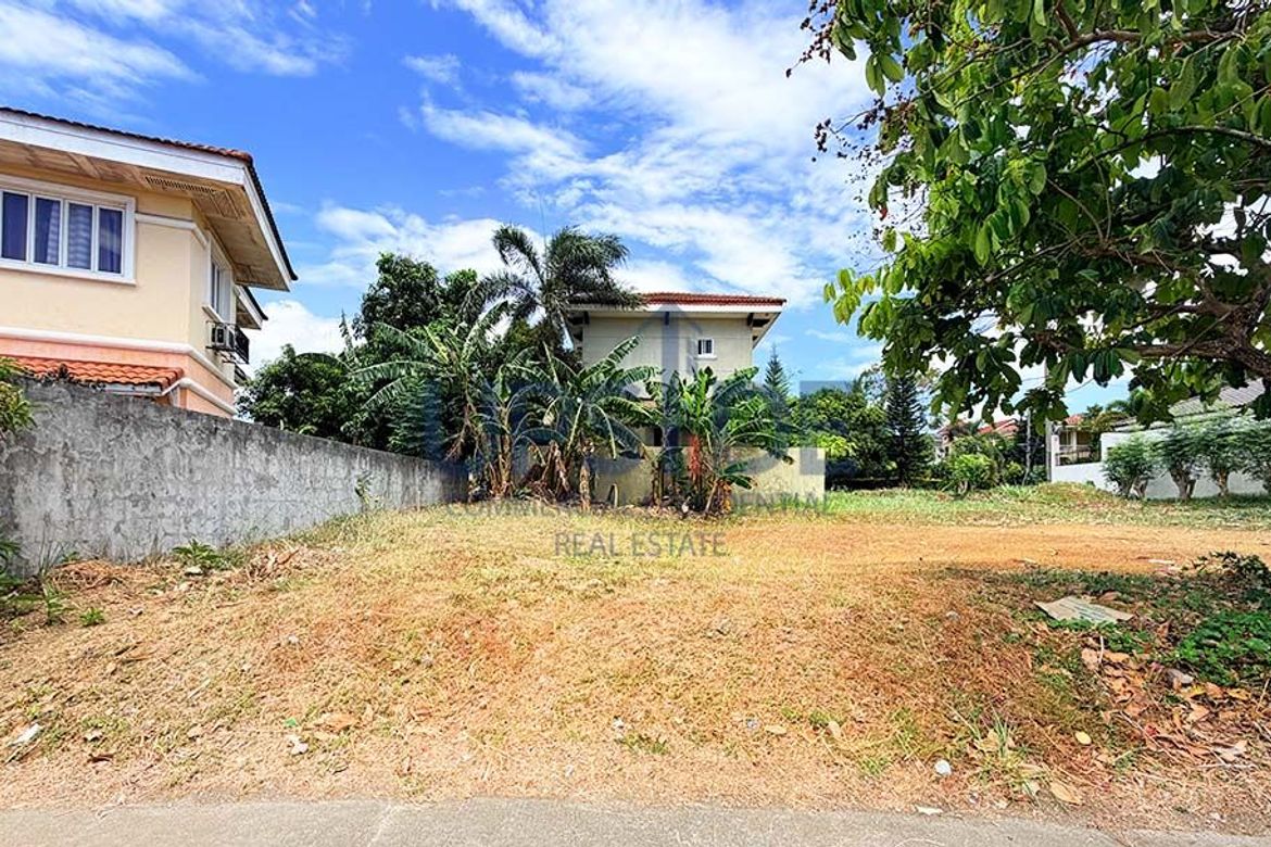 Land for Sale in Inchican, Silang, Cavite – photo 2