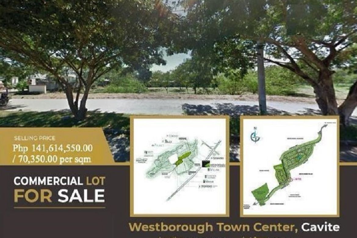 Land for Sale in Inchican, Silang, Cavite – photo 2