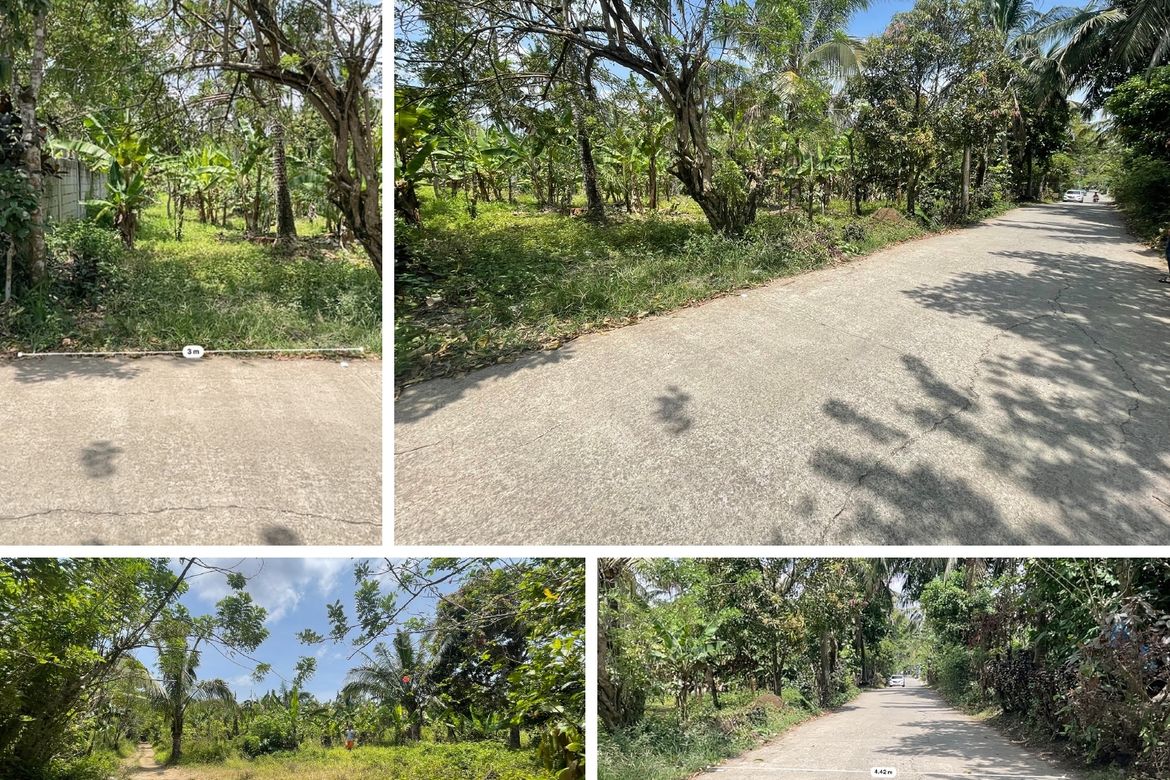 Land for Sale in Inchican, Silang, Cavite – photo 3