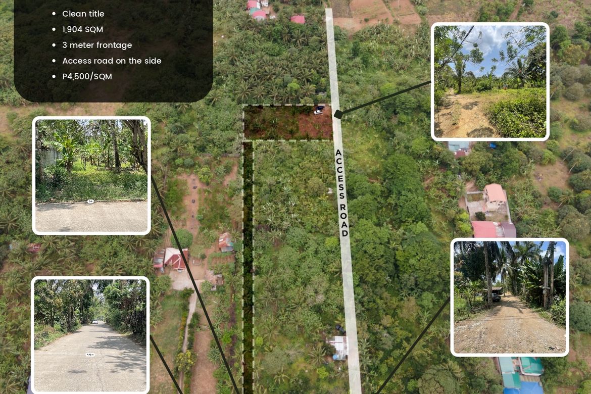 Land for Sale in Inchican, Silang, Cavite – photo 4