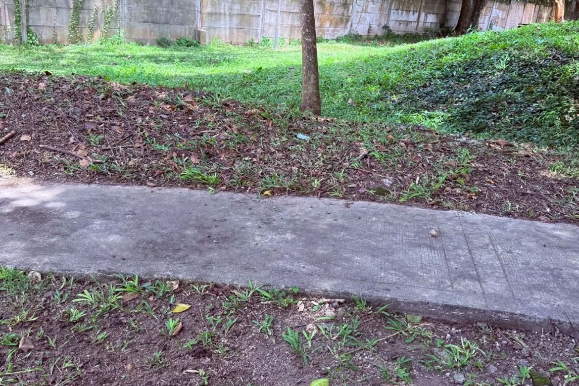 Land for Sale in Inchican, Silang, Cavite – photo 2