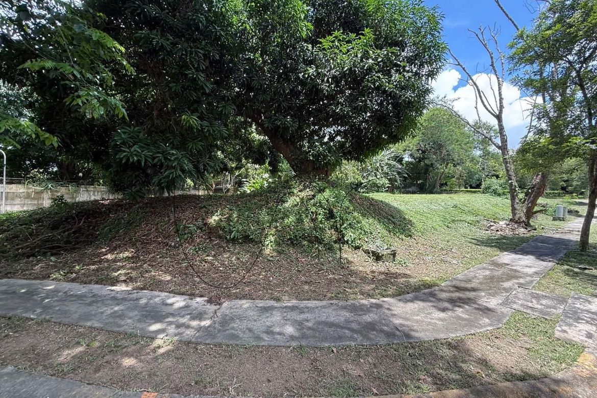 Land for Sale in Inchican, Silang, Cavite – photo 3