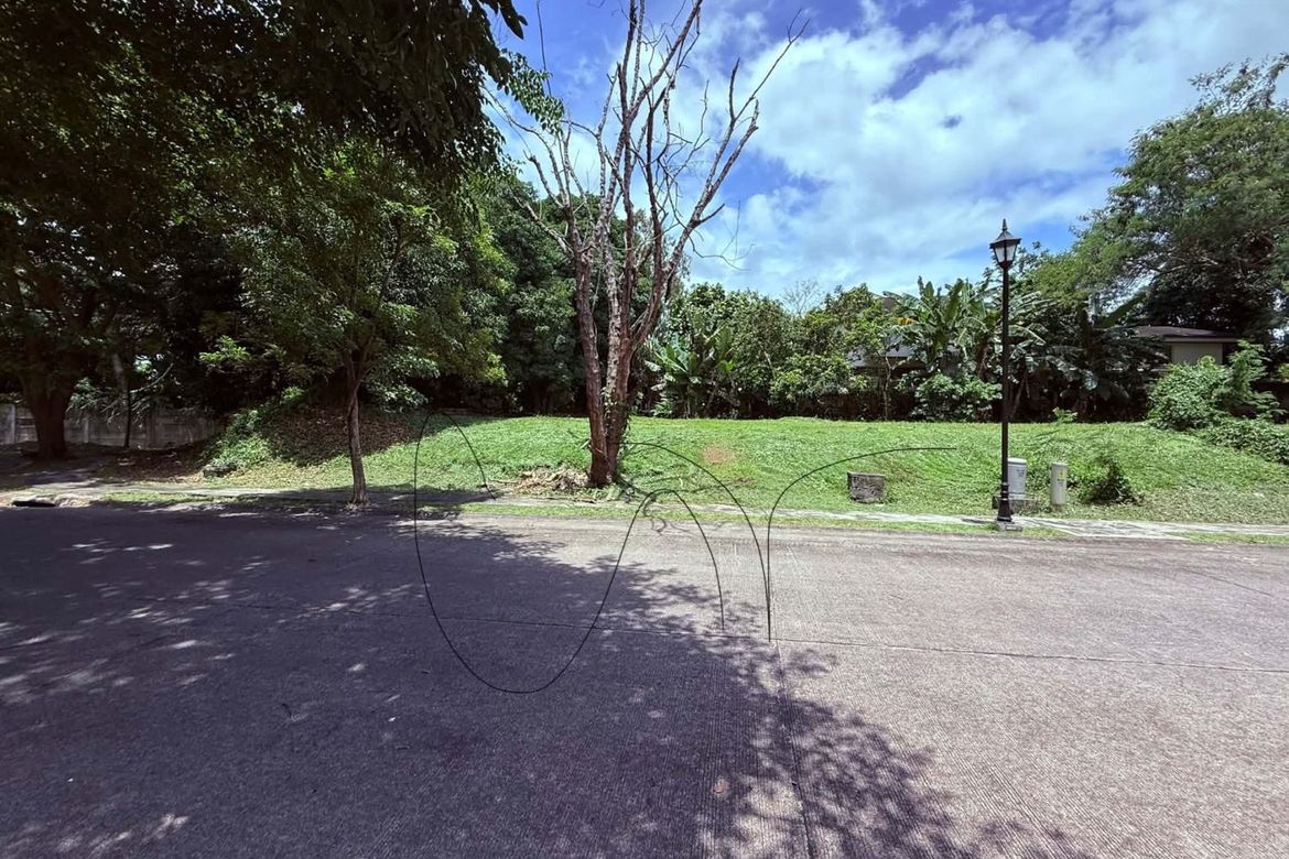 Land for Sale in Inchican, Silang, Cavite – photo 4