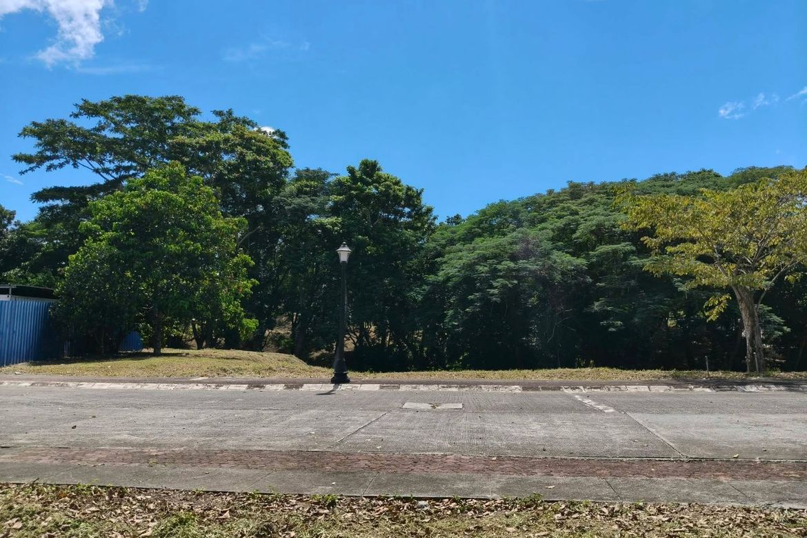 Land for Sale in Inchican, Silang, Cavite – photo 6