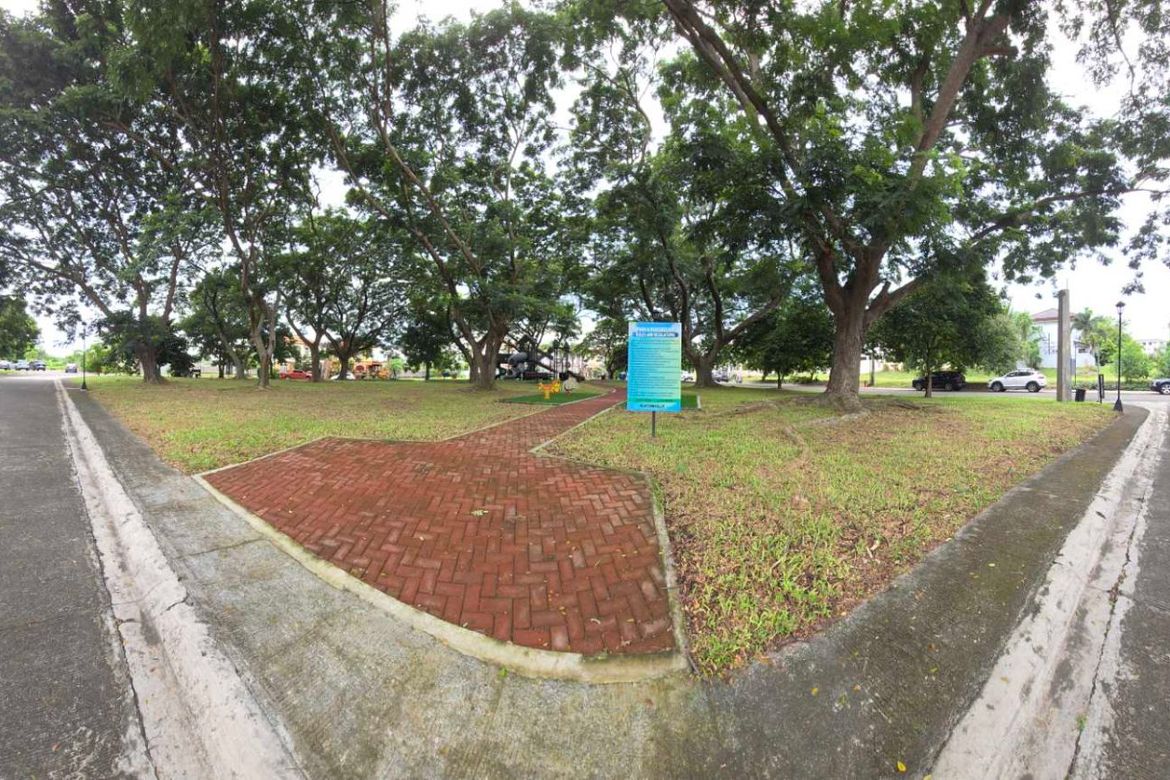 Land for Sale in Inchican, Silang, Cavite – photo 4