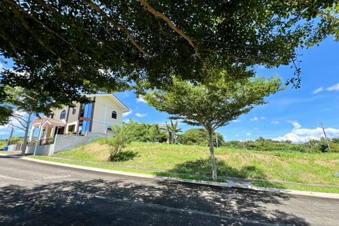 Land for Sale in Inchican, Silang, Cavite – photo 2