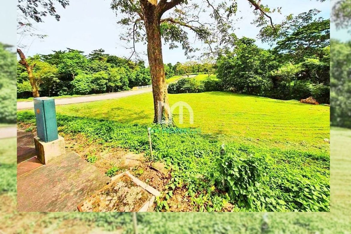 Land for Sale in Inchican, Silang, Cavite – photo 2