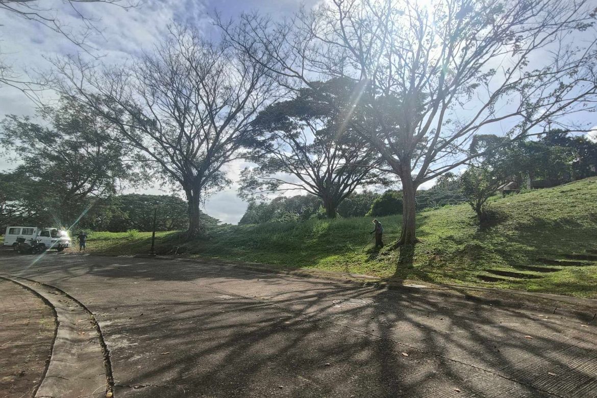 Land for Sale in Inchican, Silang, Cavite – photo 6