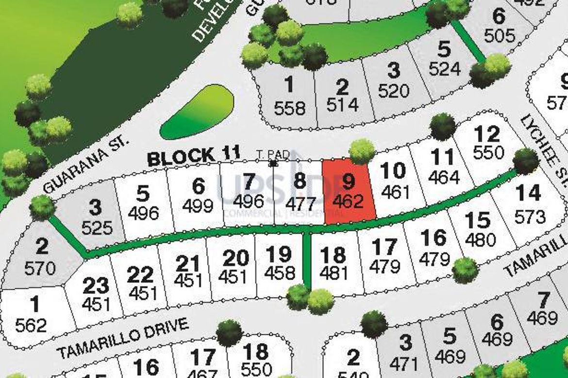 Land for Sale in Inchican, Silang, Cavite – photo 4