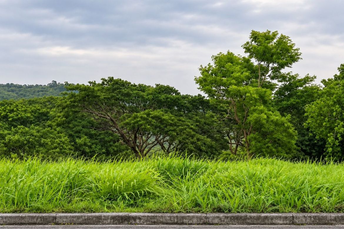 Land for Sale in Inchican, Silang, Cavite – photo 5