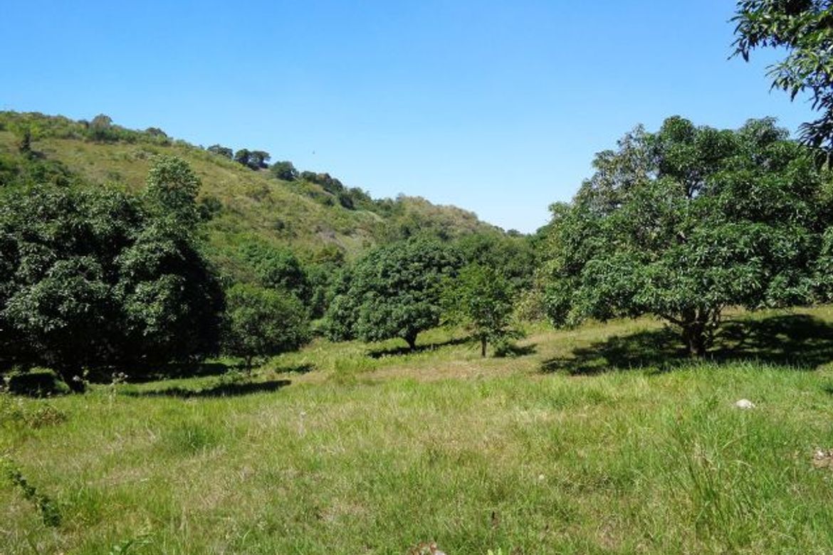 Land for Sale in Indahag, Cagayan de Oro, Misamis Oriental – photo 8