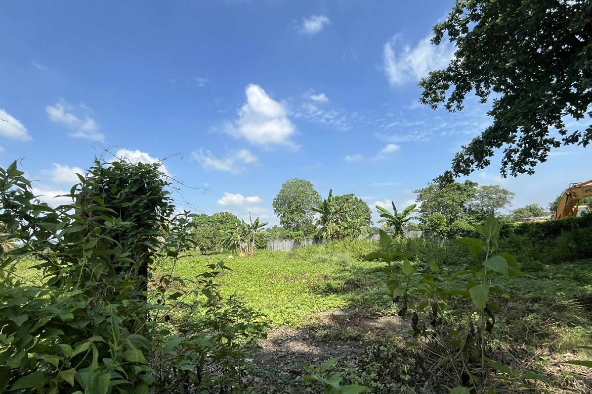 Land for Sale in Indangan, Davao City, Davao del Sur – photo 3