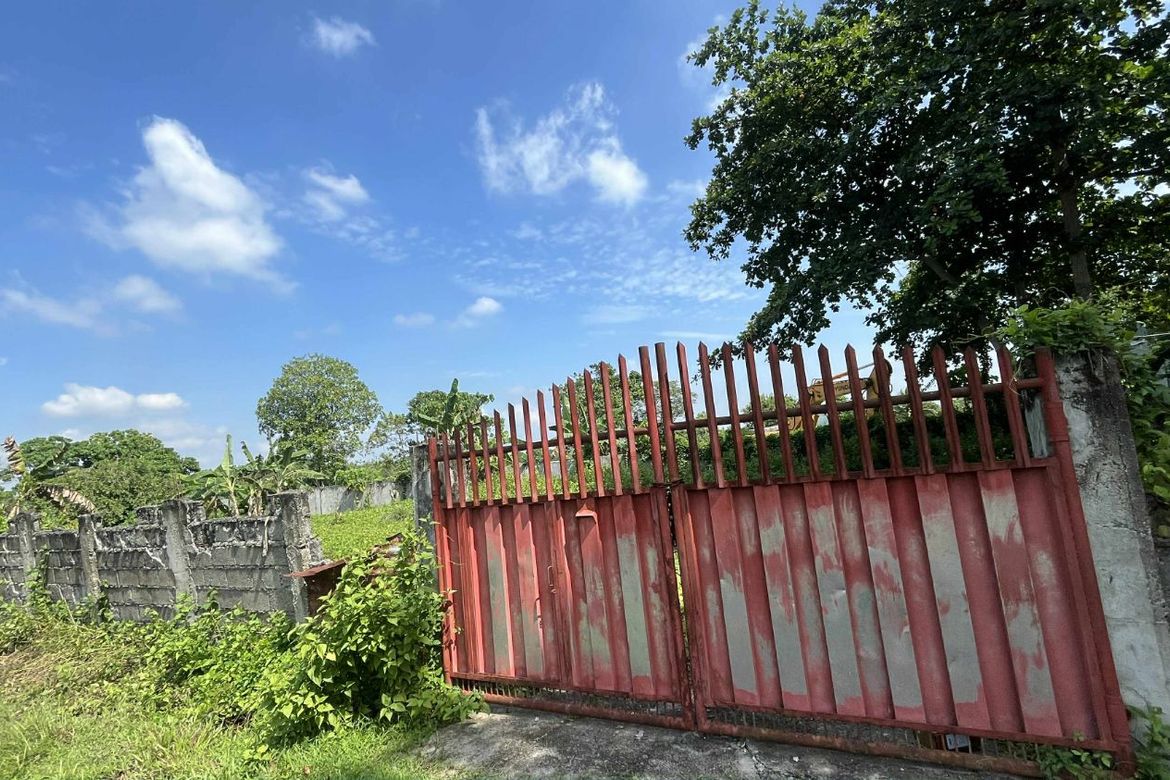 Land for Sale in Indangan, Davao City, Davao del Sur – photo 4