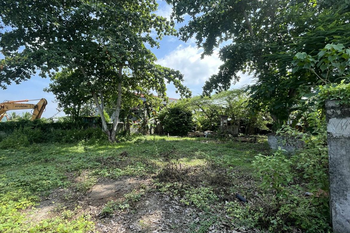 Land for Sale in Indangan, Davao City, Davao del Sur – photo 7