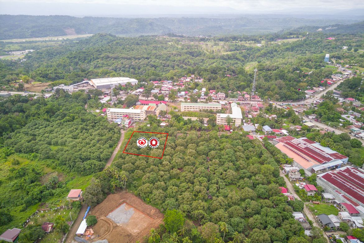 Land for Sale in Indangan, Davao City, Davao del Sur – photo 6
