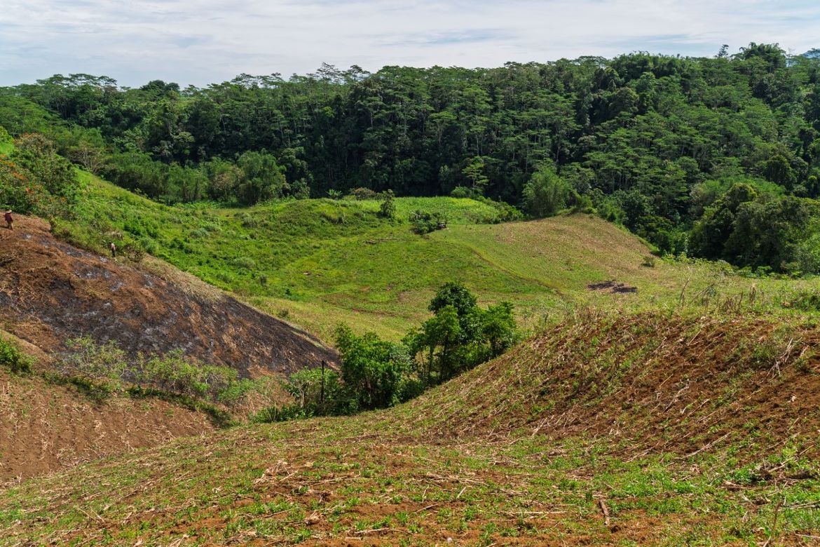 Land for Sale in Indulang, Talakag, Bukidnon