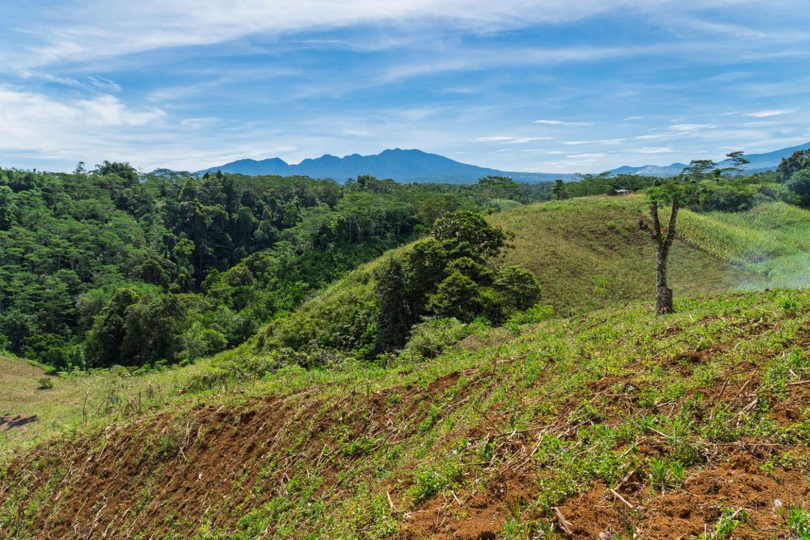 Land for Sale in Indulang, Talakag, Bukidnon – photo 2