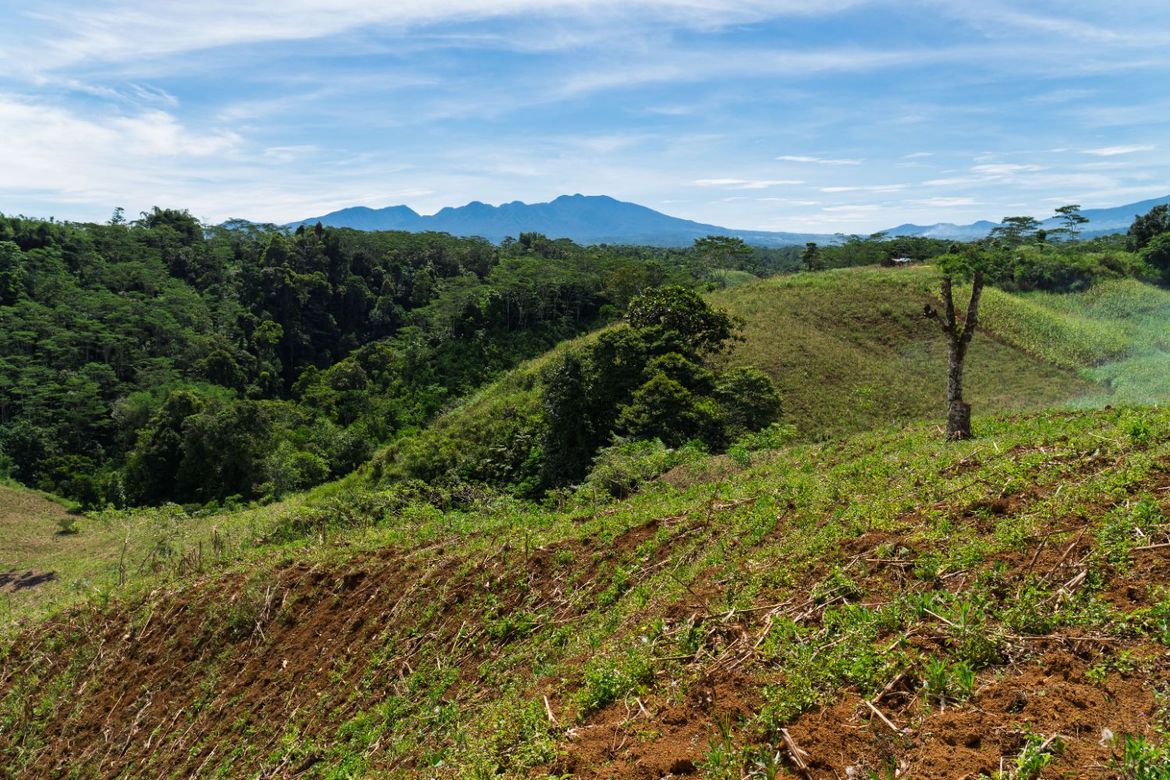 Land for Sale in Indulang, Talakag, Bukidnon – photo 4