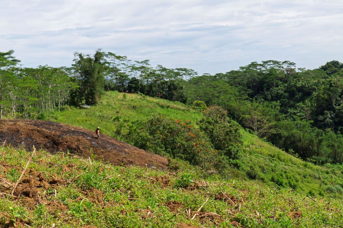 Land for Sale in Indulang, Talakag, Bukidnon – photo 5