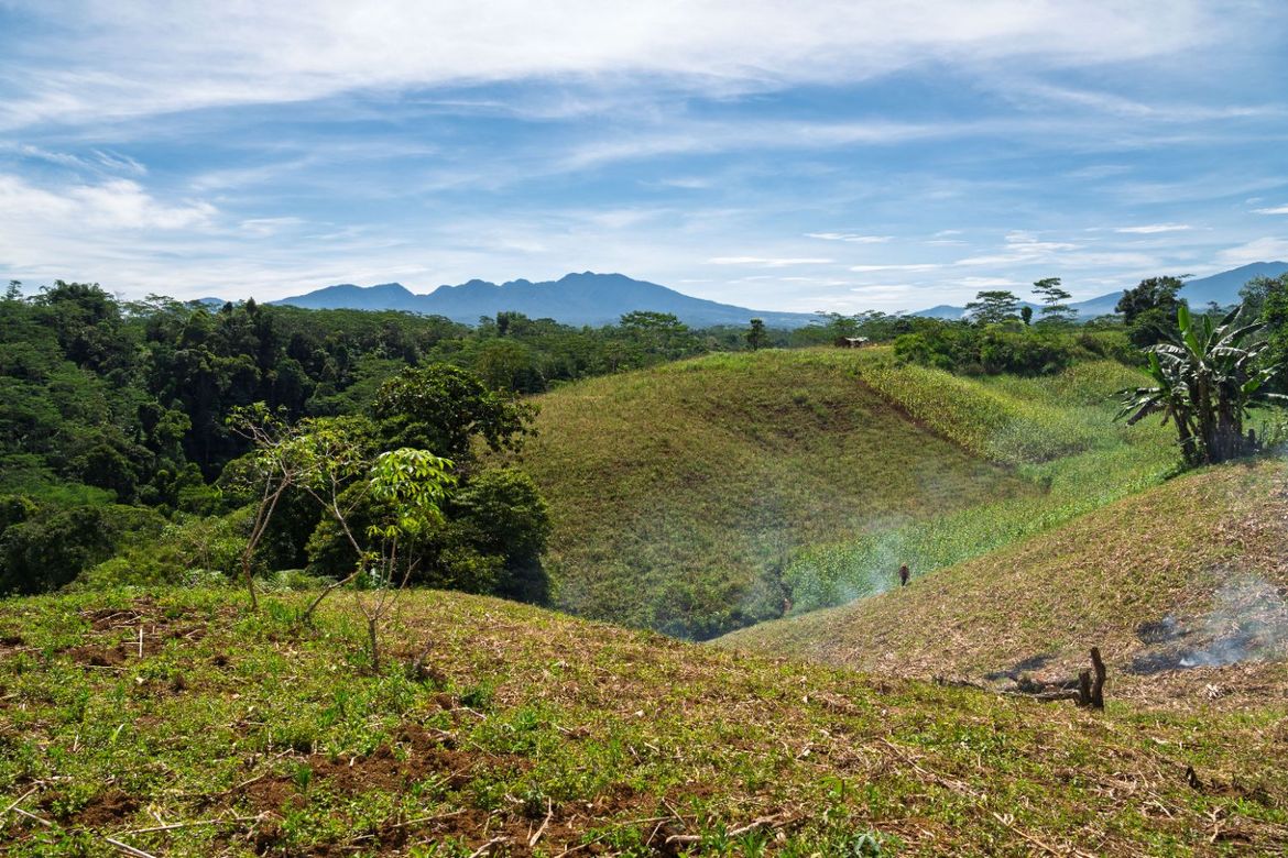Land for Sale in Indulang, Talakag, Bukidnon – photo 6