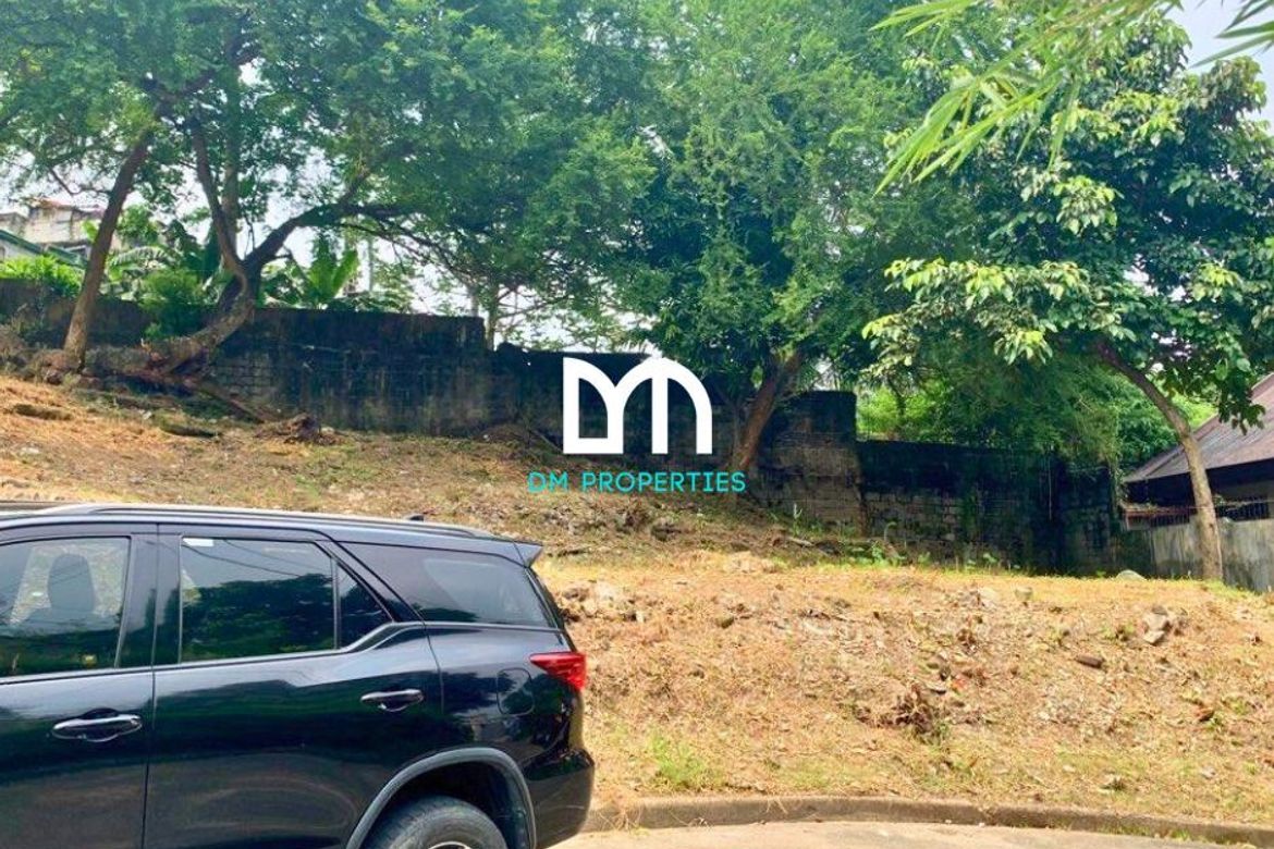 Land for Sale in Industrial Valley, Marikina, Metro Manila near LRT-2 Santolan – photo 4