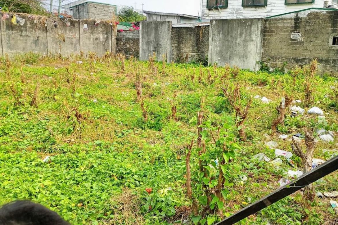 Land for Sale in Inocencio, Trece Martires, Cavite