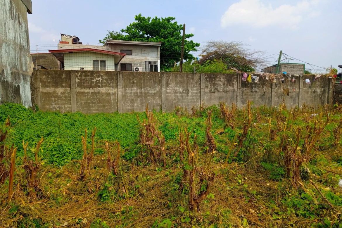 Land for Sale in Inocencio, Trece Martires, Cavite – photo 2