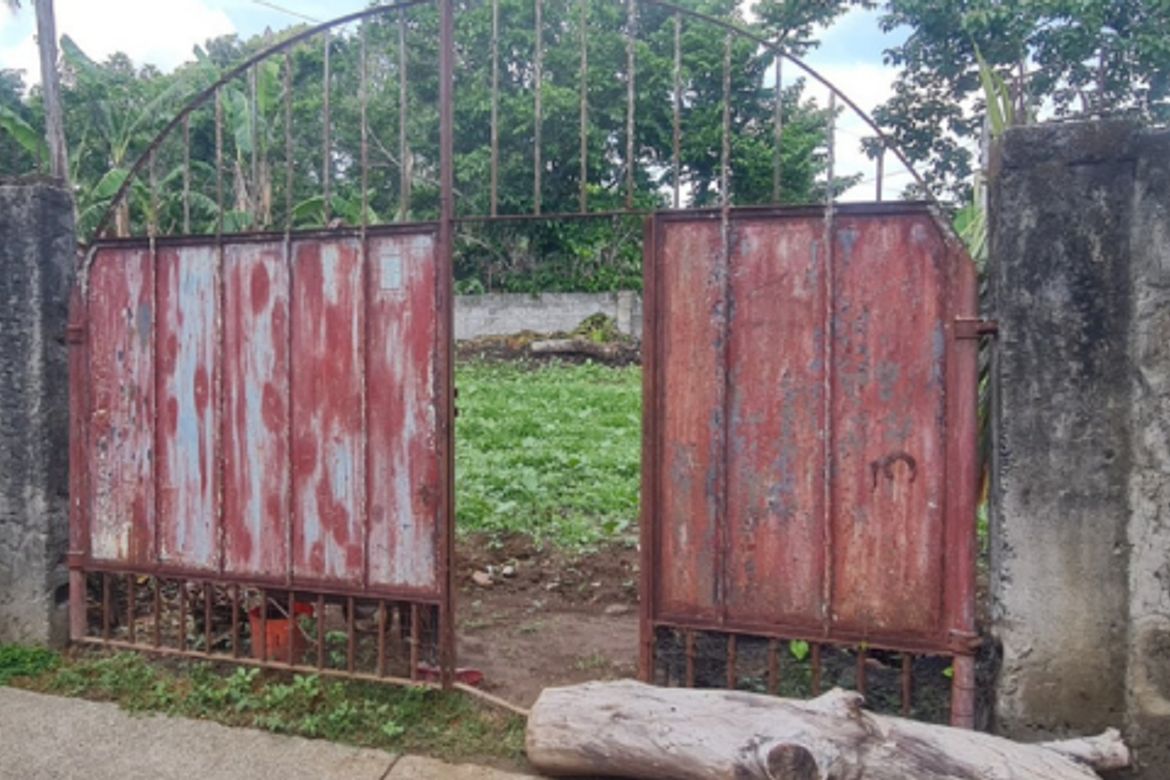 Land for Sale in Inocencio, Trece Martires, Cavite – photo 2