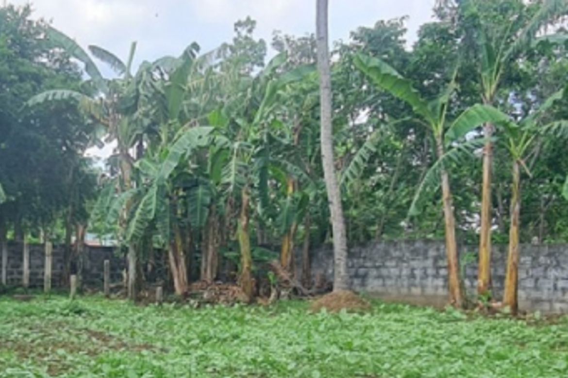 Land for Sale in Inocencio, Trece Martires, Cavite – photo 3