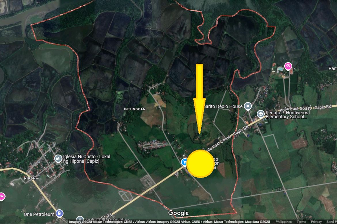 Land for Sale in Intungcan, Pontevedra, Capiz