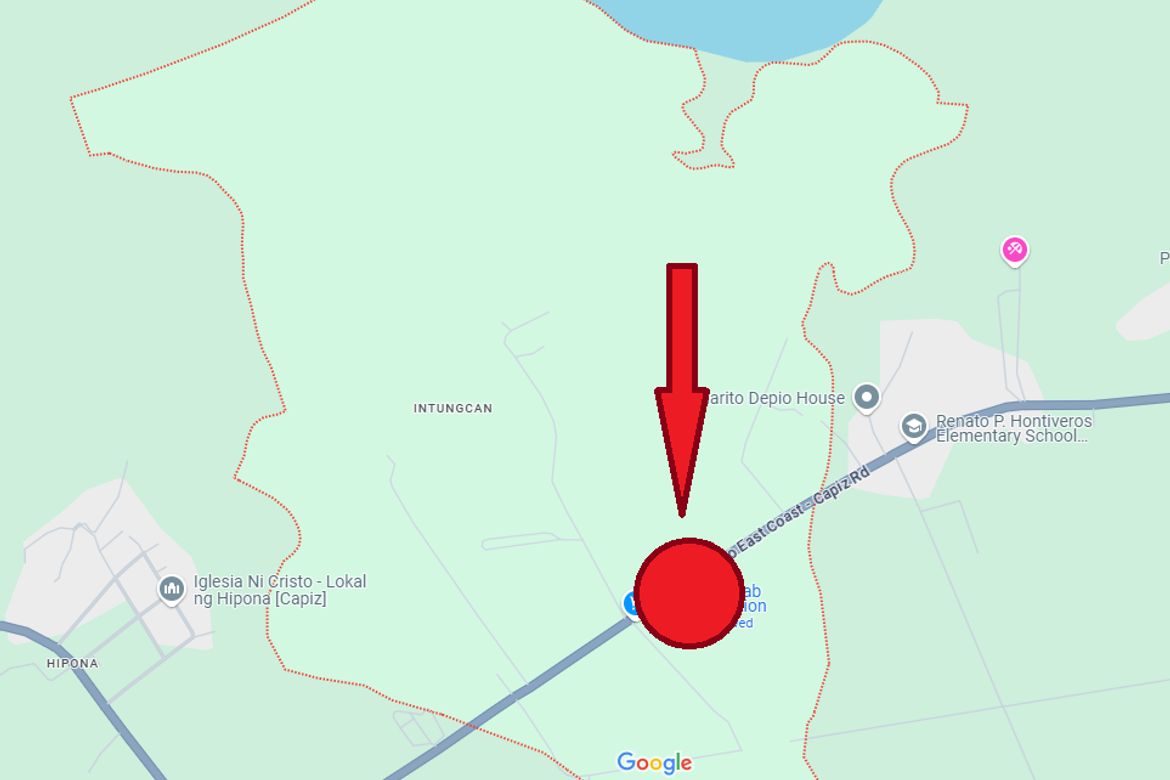 Land for Sale in Intungcan, Pontevedra, Capiz – photo 2