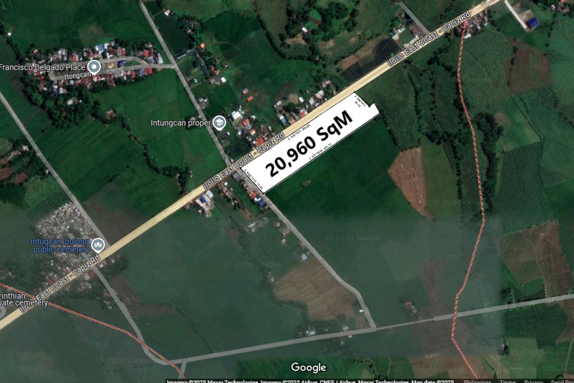 Land for Sale in Intungcan, Pontevedra, Capiz – photo 3