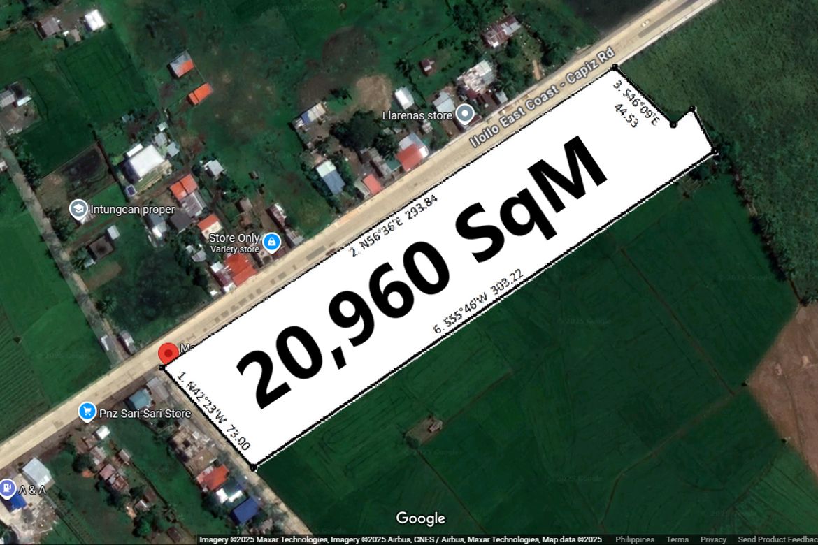 Land for Sale in Intungcan, Pontevedra, Capiz – photo 4