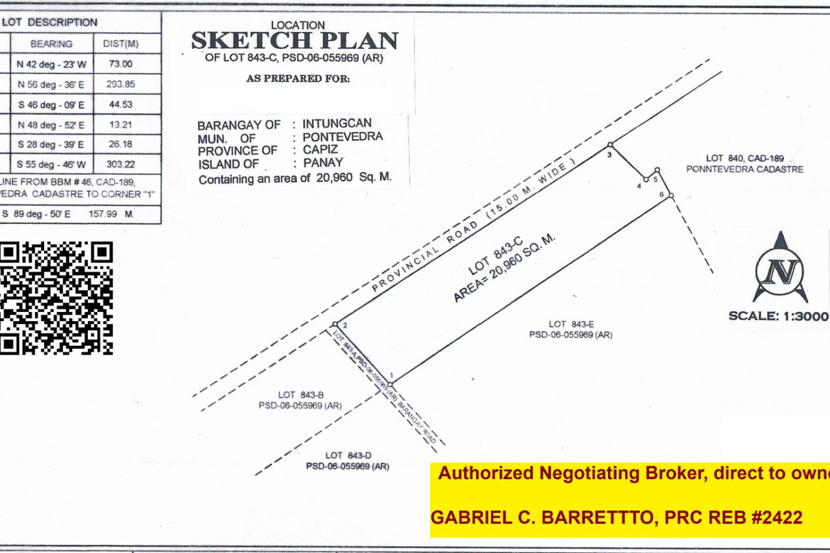 Land for Sale in Intungcan, Pontevedra, Capiz – photo 5