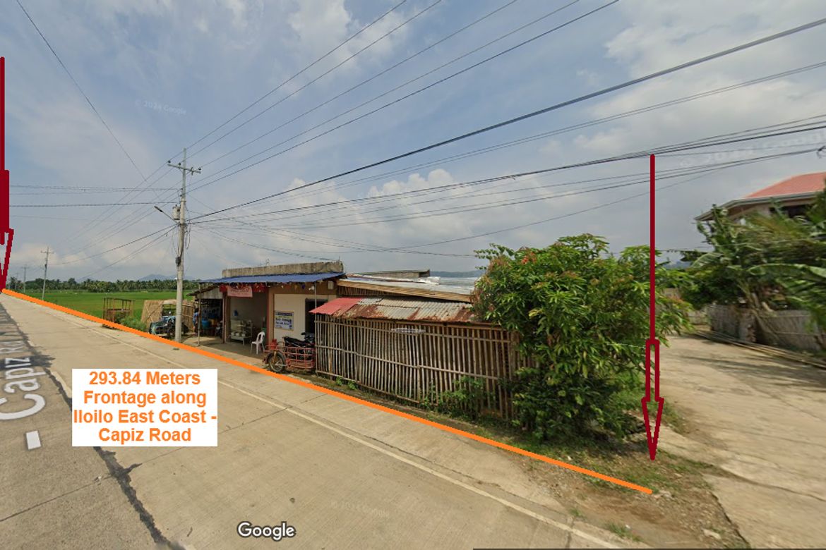 Land for Sale in Intungcan, Pontevedra, Capiz – photo 6