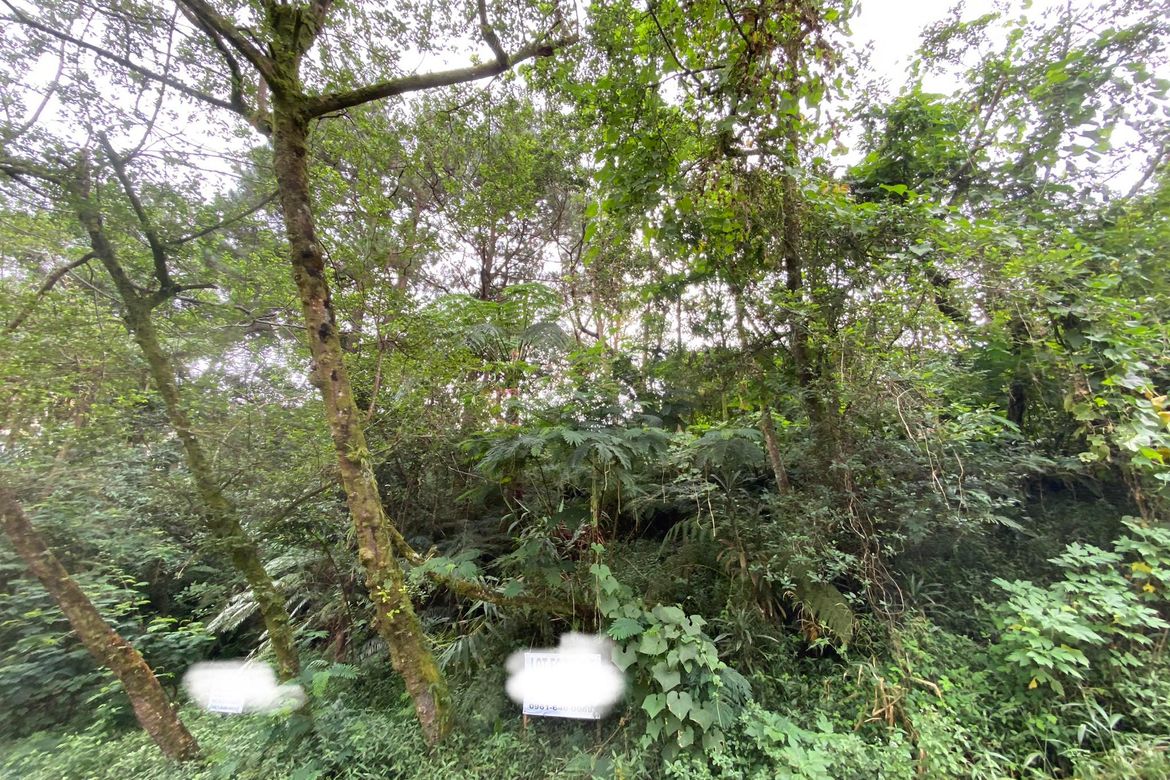 Land for Sale in Irisan, Baguio, Benguet