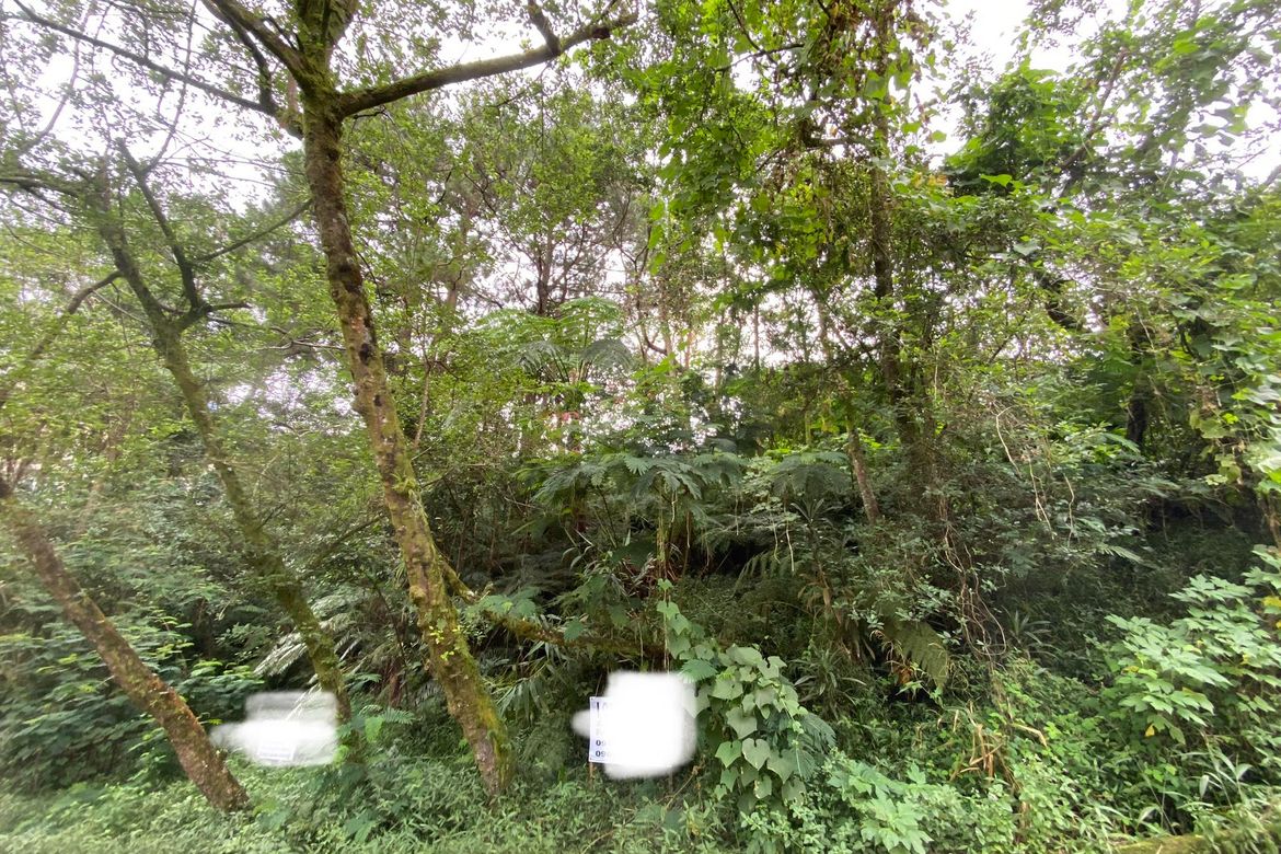 Land for Sale in Irisan, Baguio, Benguet – photo 3