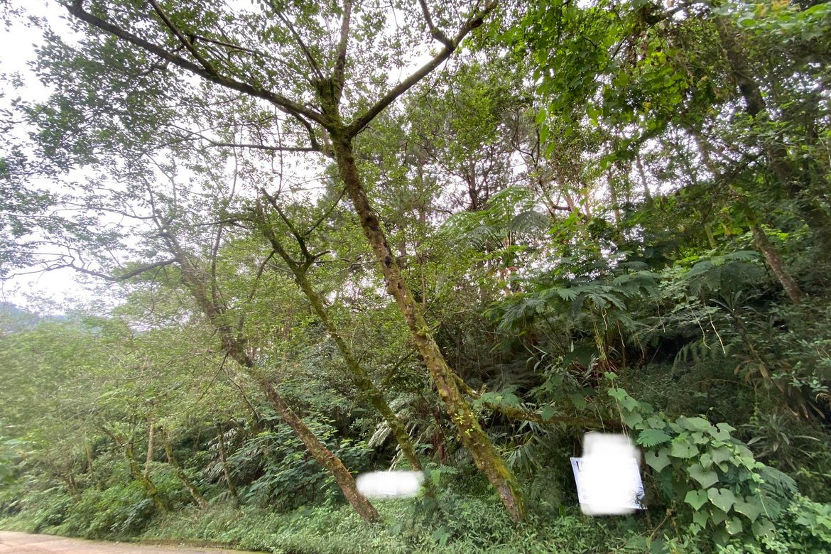 Land for Sale in Irisan, Baguio, Benguet – photo 6