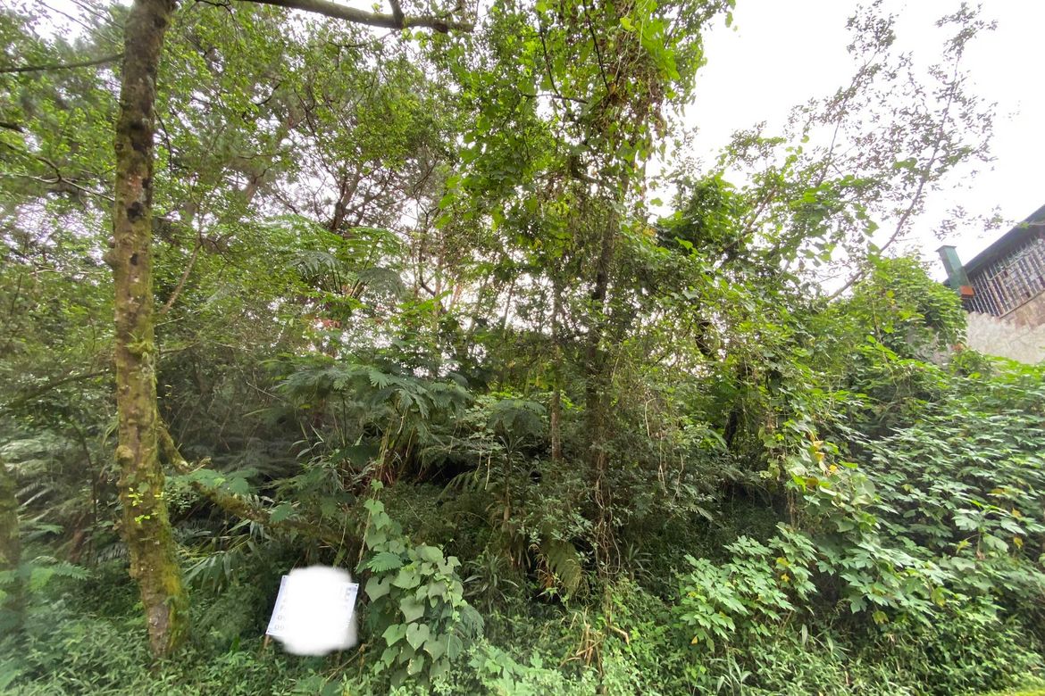 Land for Sale in Irisan, Baguio, Benguet – photo 7