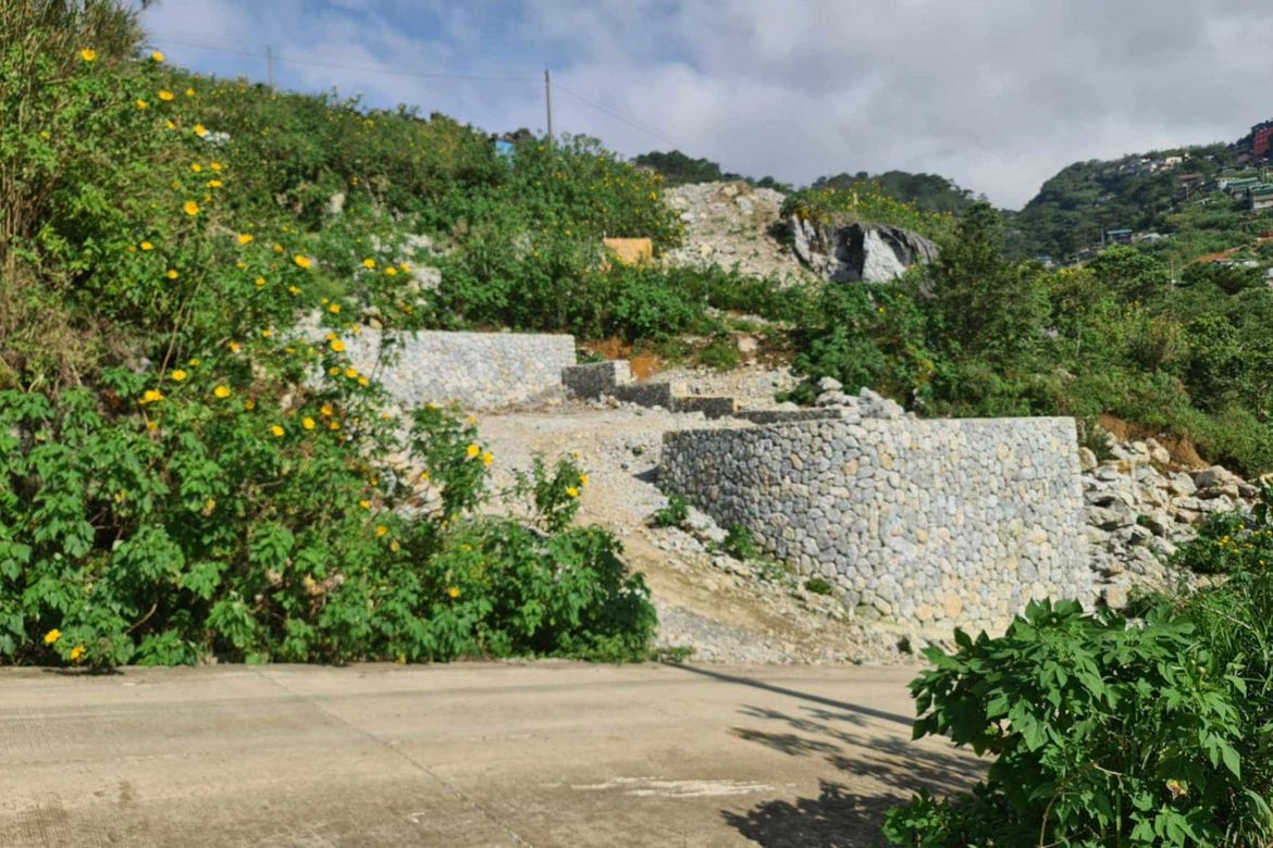 Land for Sale in Irisan, Baguio, Benguet – photo 5