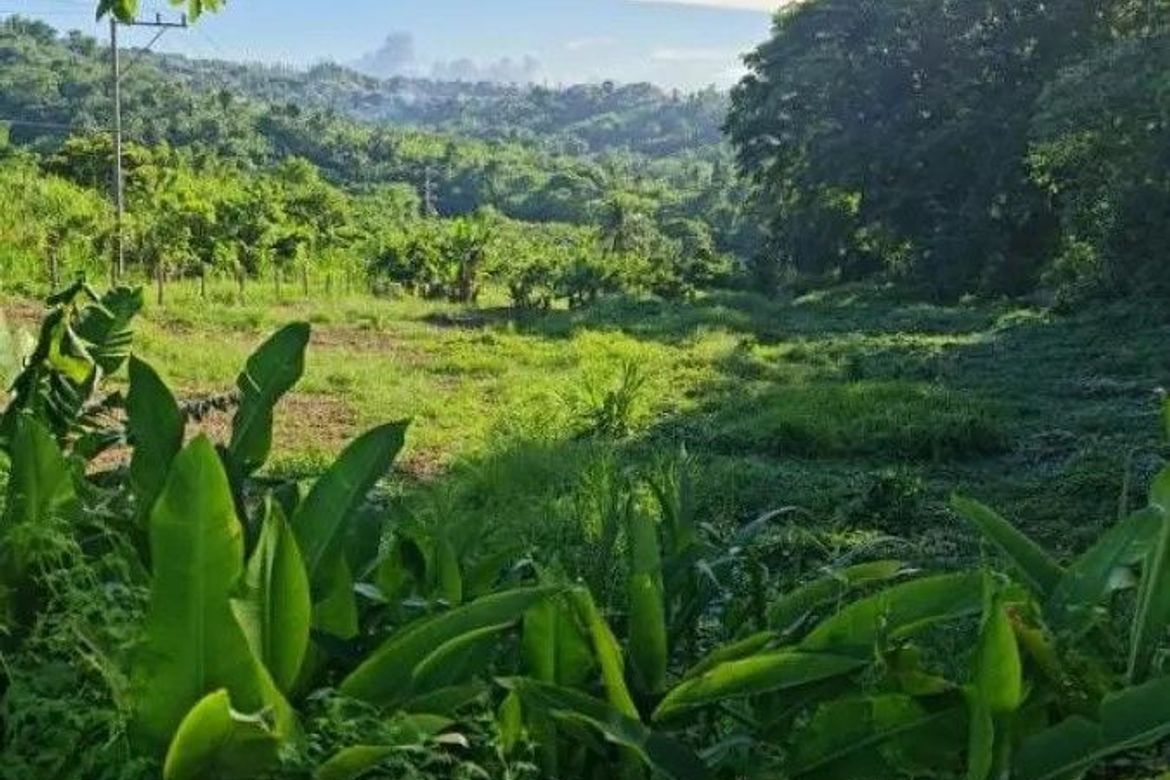 Land for Sale in Iruhin East, Tagaytay, Cavite