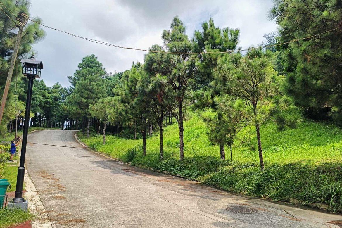 Land for Sale in Iruhin South, Tagaytay, Cavite – photo 3