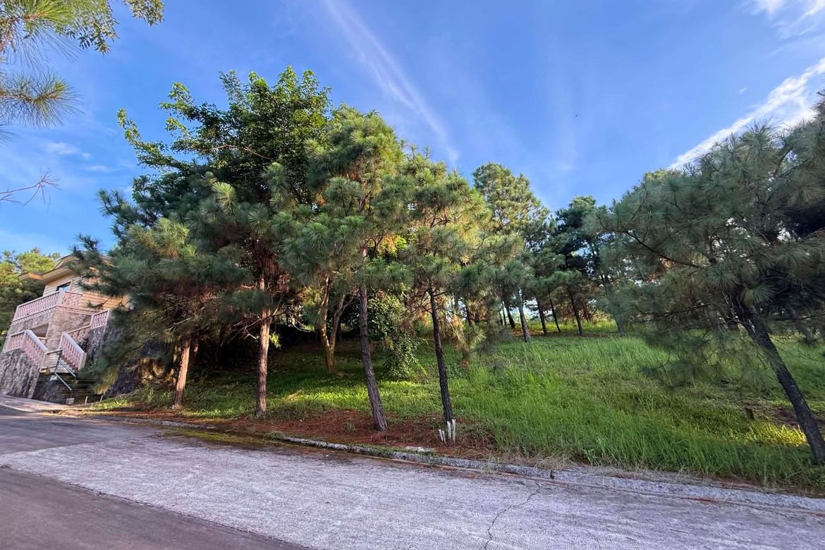 Land for Sale in Iruhin South, Tagaytay, Cavite – photo 2