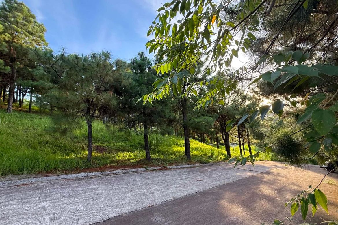 Land for Sale in Iruhin South, Tagaytay, Cavite – photo 3