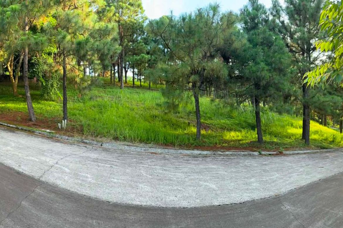 Land for Sale in Iruhin South, Tagaytay, Cavite – photo 4