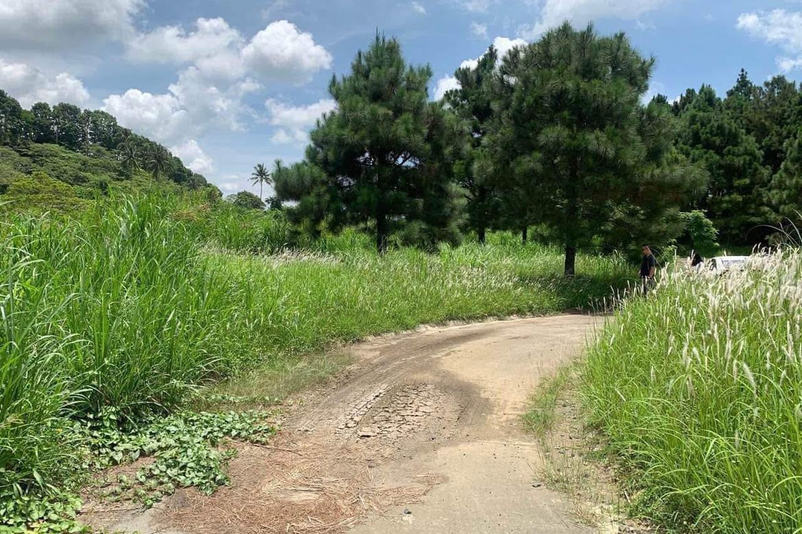 Land for Sale in Iruhin South, Tagaytay, Cavite – photo 3