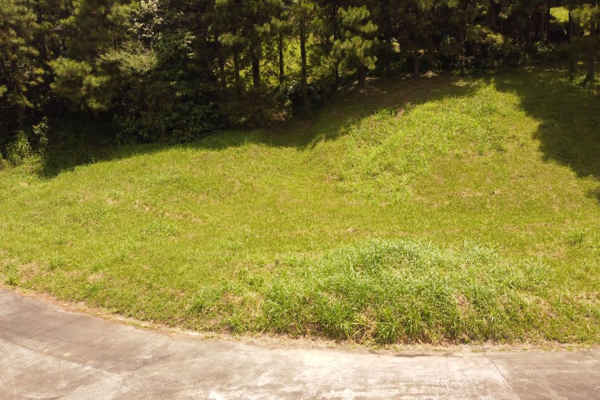 Land for Sale in Iruhin South, Tagaytay, Cavite – photo 6